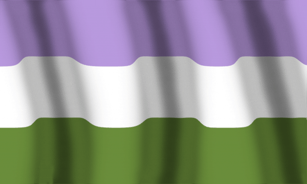 Bandera Orgullo Genderqueer
