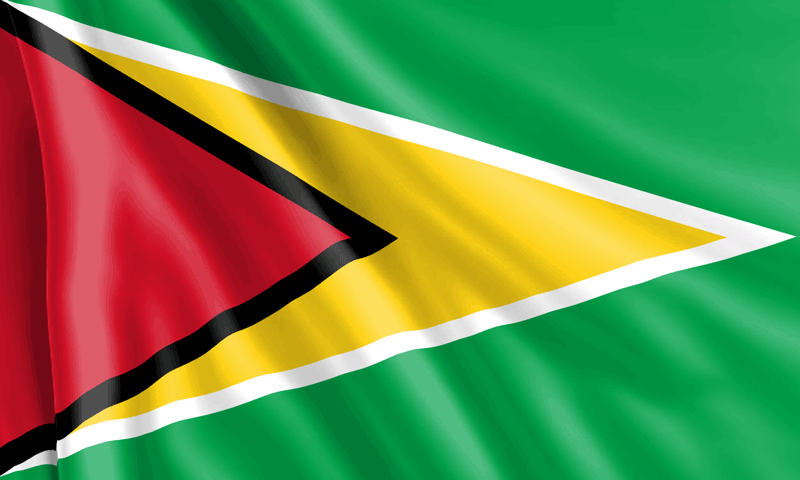 Bandera-de-Guyana