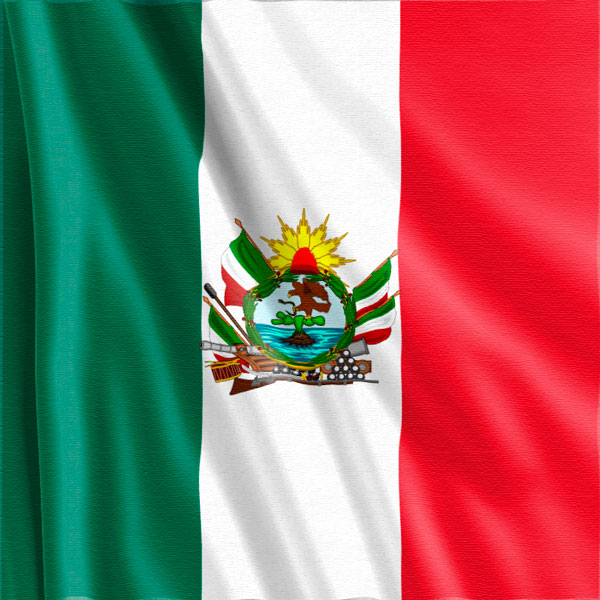 Bandera-Veterana-Batallon-Patria-México