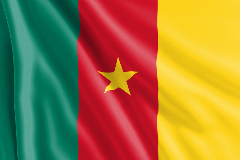 Bandera camerunesa