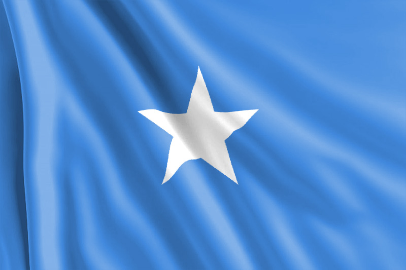 Bandera Somalí