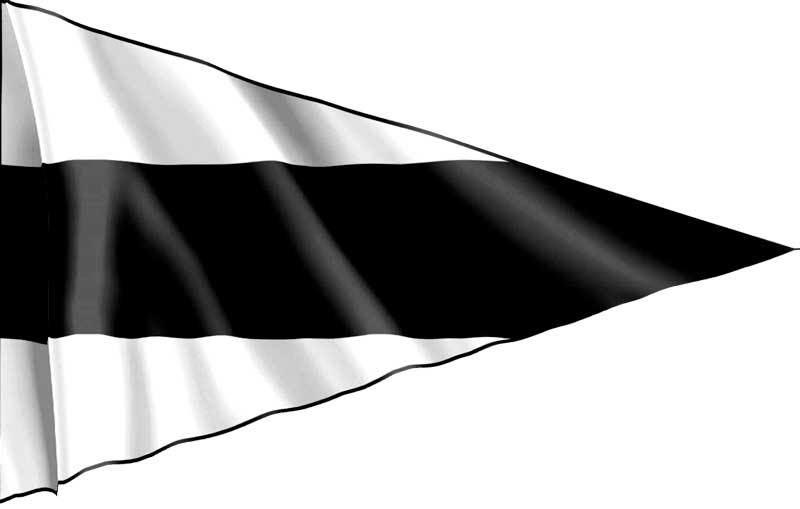 Bandera Tercer Repetidor