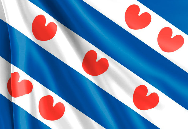 Bandera de Friesland, banderas raras