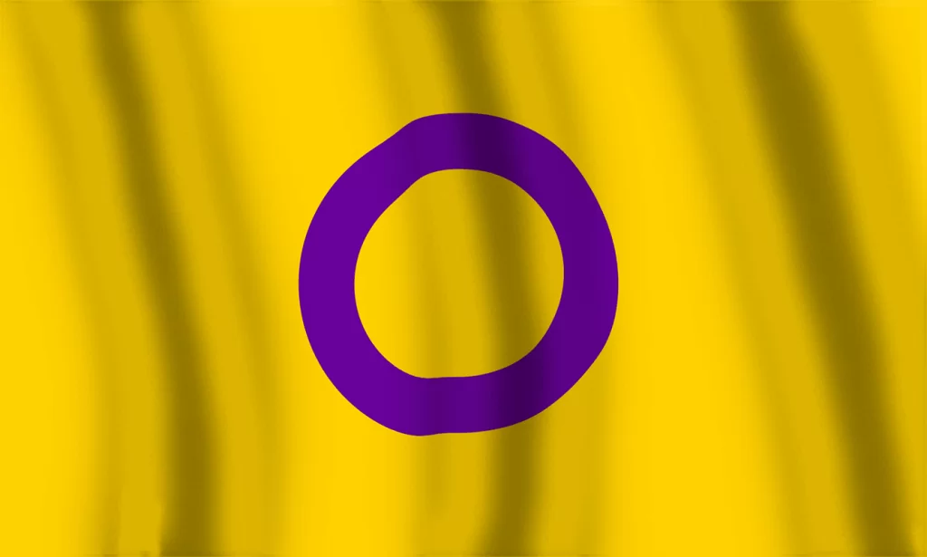 Bandera Orgullo Intersexual