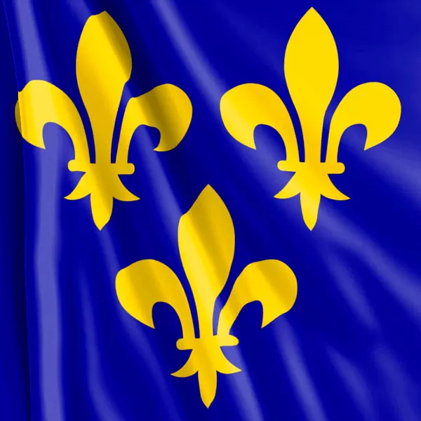 Bandera de Francia del S.XIV al S.XVI