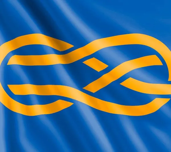 Bandera de la FIAV, Federación Internacional de Asociaciones Vexilológicas, Vexilología